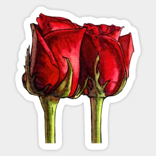 Red roses Sticker